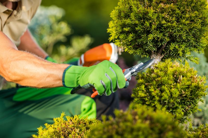 Black Friday Landscaping Deals