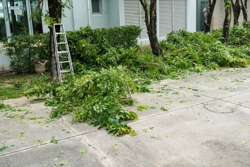 Cherry Tree Removal in Montgomery County, PA